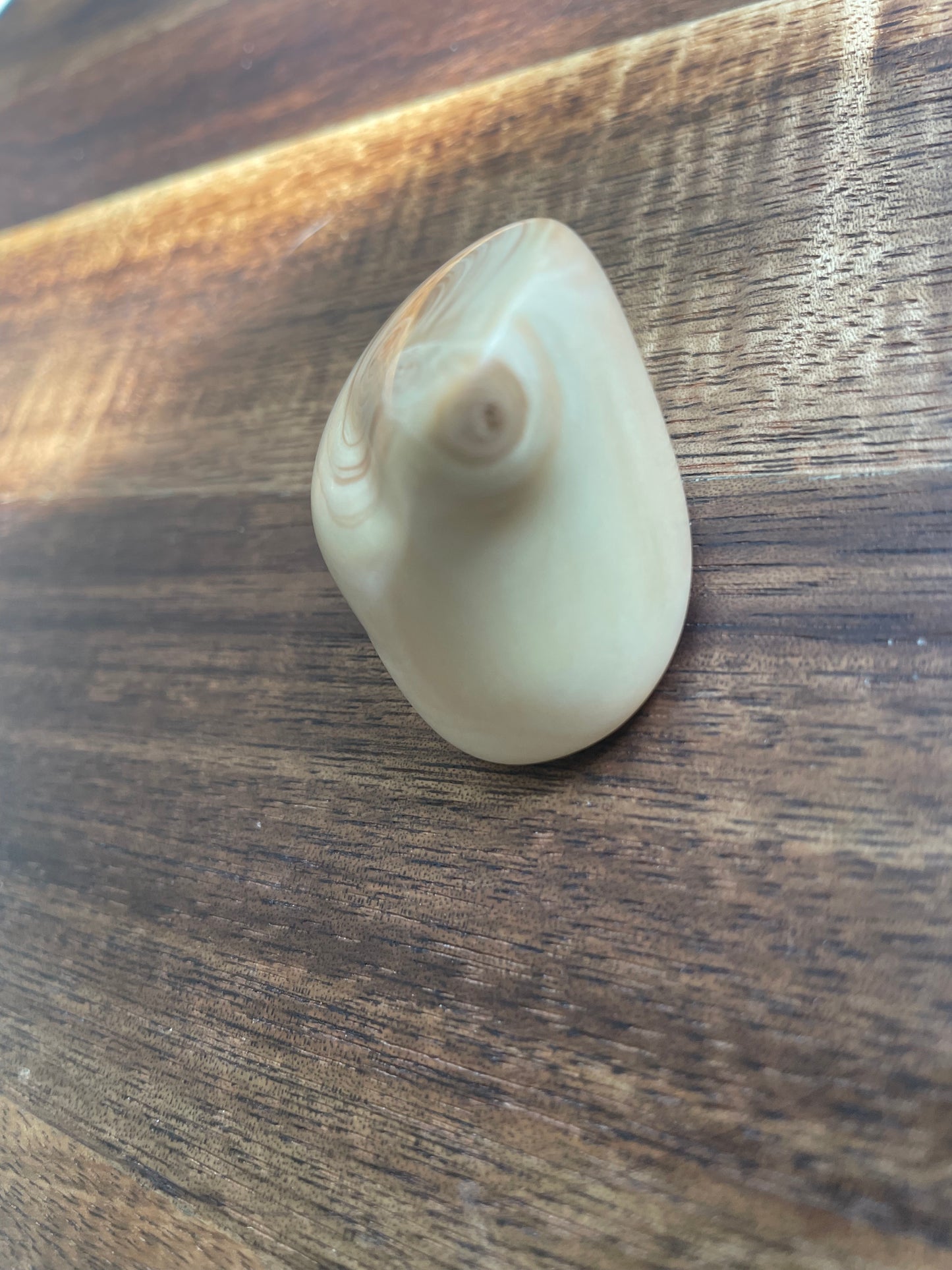 Handmade Virginian Cedar Fidget