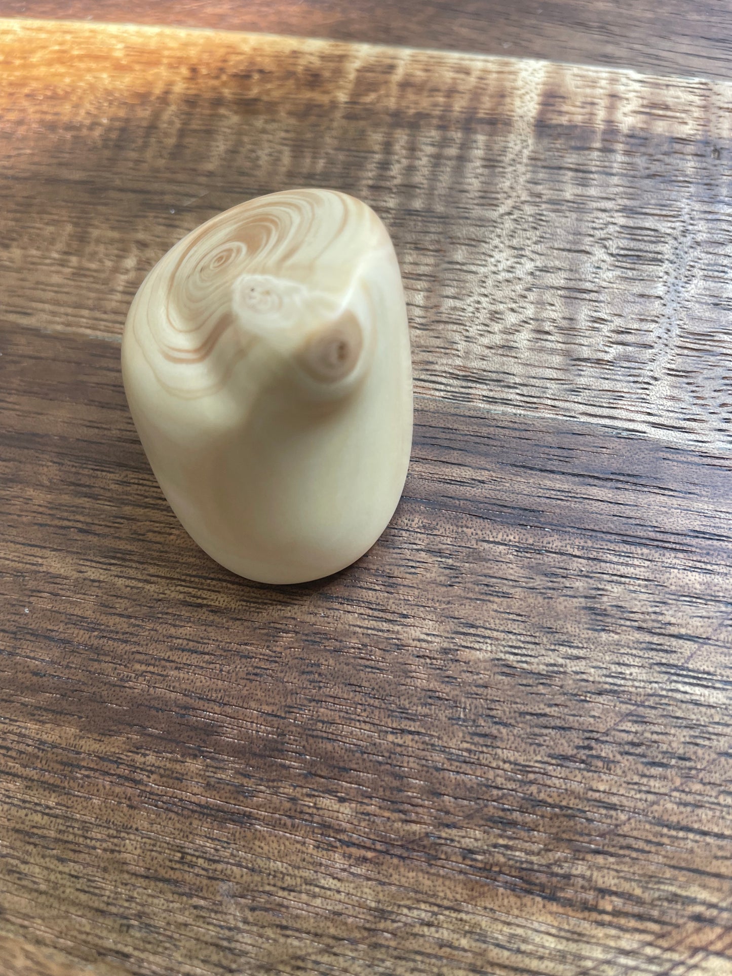 Handmade Virginian Cedar Fidget